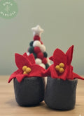 Red poinsettia flower pot