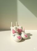 Baby Booties