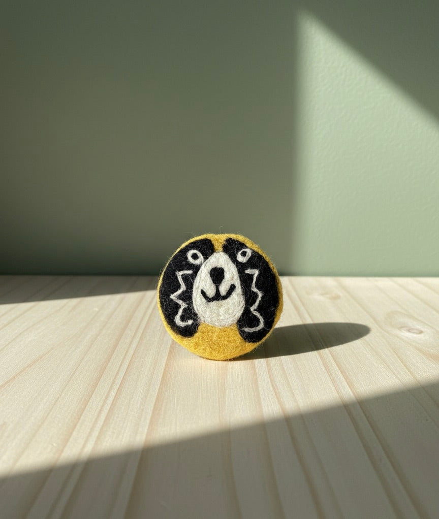Colorful coasters